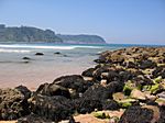 Playa del Rodriles