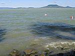 Balaton, bei Fonyod am Ufer