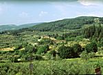 bei Fiesole